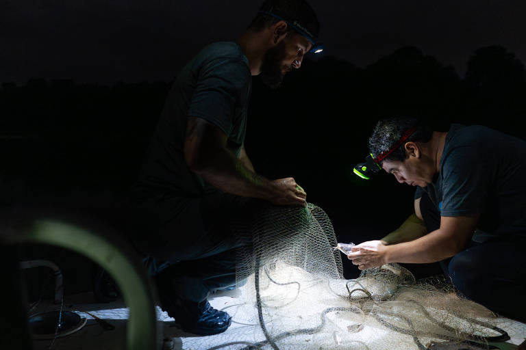 Dois homens estão trabalhando à noite, iluminados por lanternas de cabeça. Um homem está em pé, segurando uma rede de pesca, enquanto o outro está agachado, usando um celular e observando a rede. O ambiente é escuro, com uma luz suave iluminando a área ao redor deles.