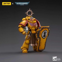 WARHAMMER 40000 IMPERIAL FISTS VETERAN BROTHER THRACIUS ACTION FIGURE JOY TOY (CN)