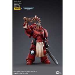 WARHAMMER 40000 BLOOD ANGELS VETERAN SALUS ACTION FIGURE JOY TOY (CN)