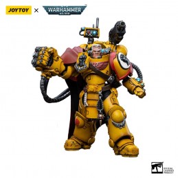 WARHAMMER 40000 IMPERIAL FISTS THIRD CAPTAIN TOR GARADON ACTION FIGURE JOY TOY (CN)