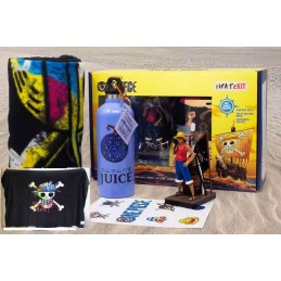 NEAMEDIA ICONS NETFLIX ONE PIECE PIRATE CHILL KIT