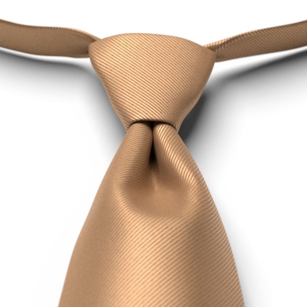 Bronze Pre-Tied Tie