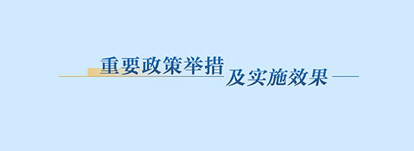 重要政策举措及实施效果