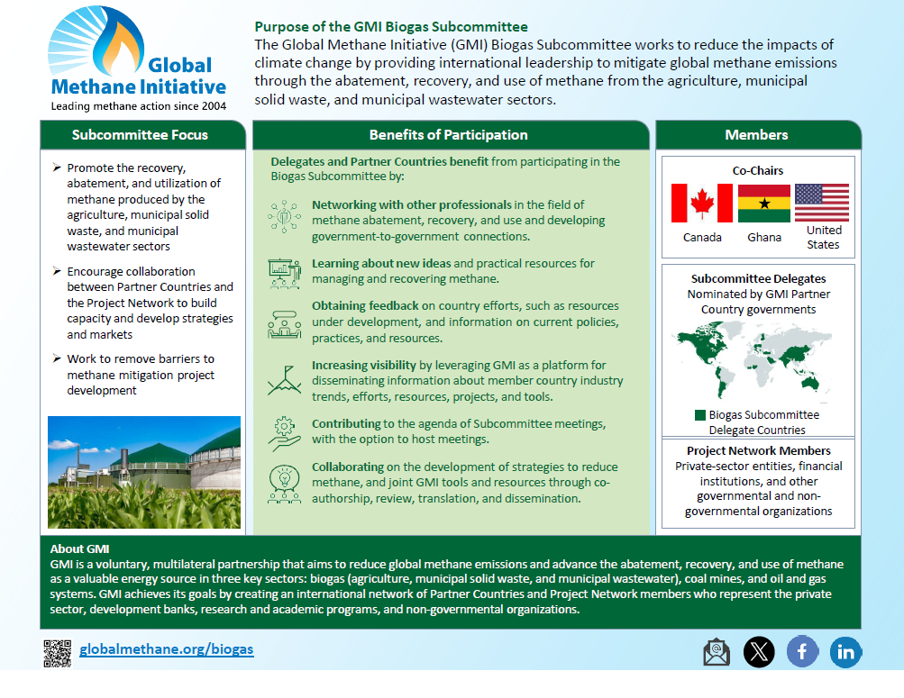 Biogas Sector Statement of Purpose