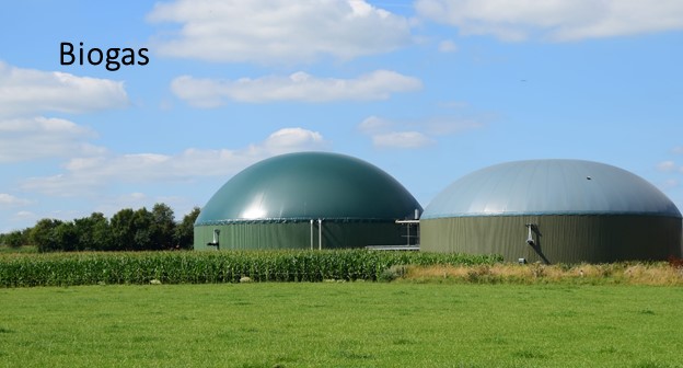 Biogas