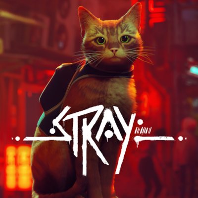 Stray – grafika z obchodu