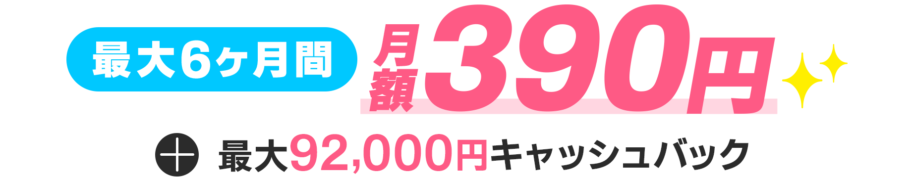 最大6ヶ月間月額390円+最大102,000円キャッシュバック