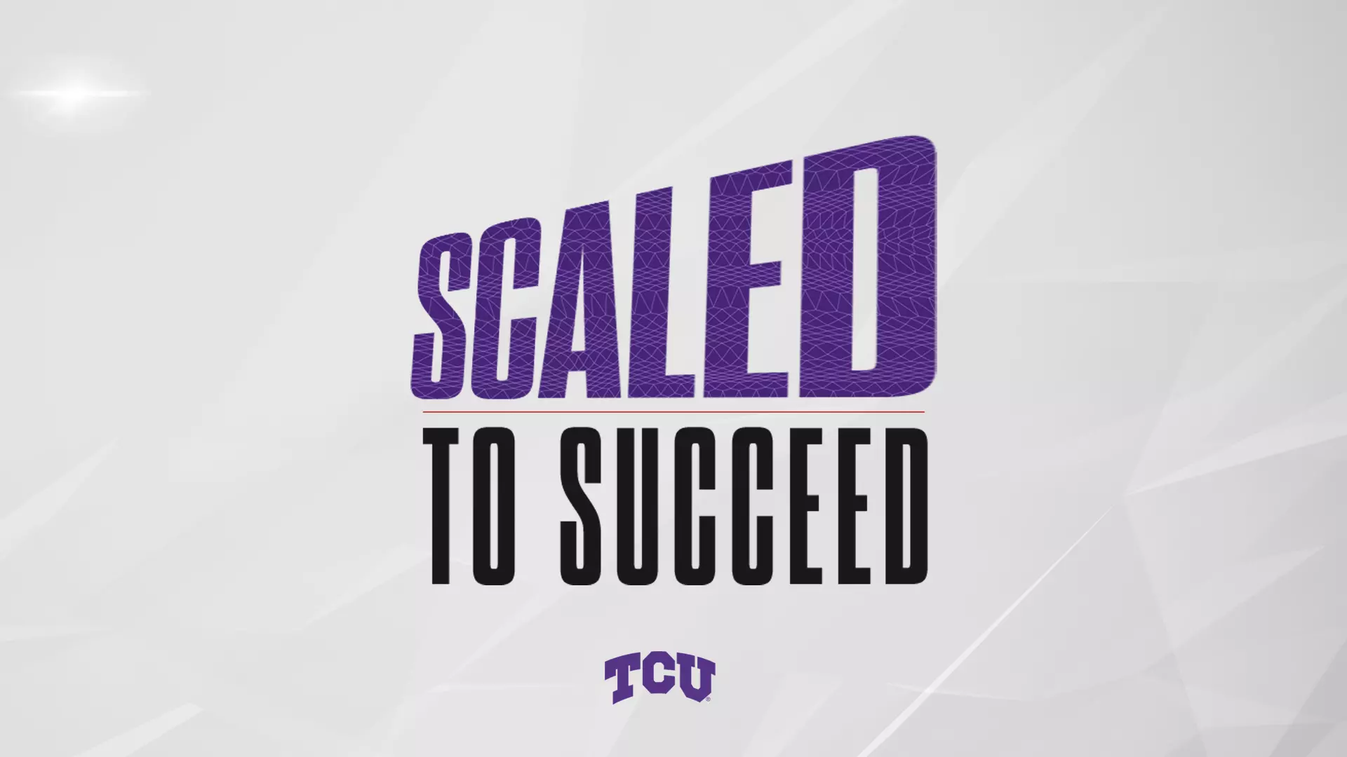 scaled to succeed