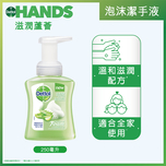 Dettol Foam Anti-bacterial Hand Wash (Aloe Vera) 250mL