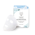 Snow Fox Arctic Breeze Rescue Mask 5pcs