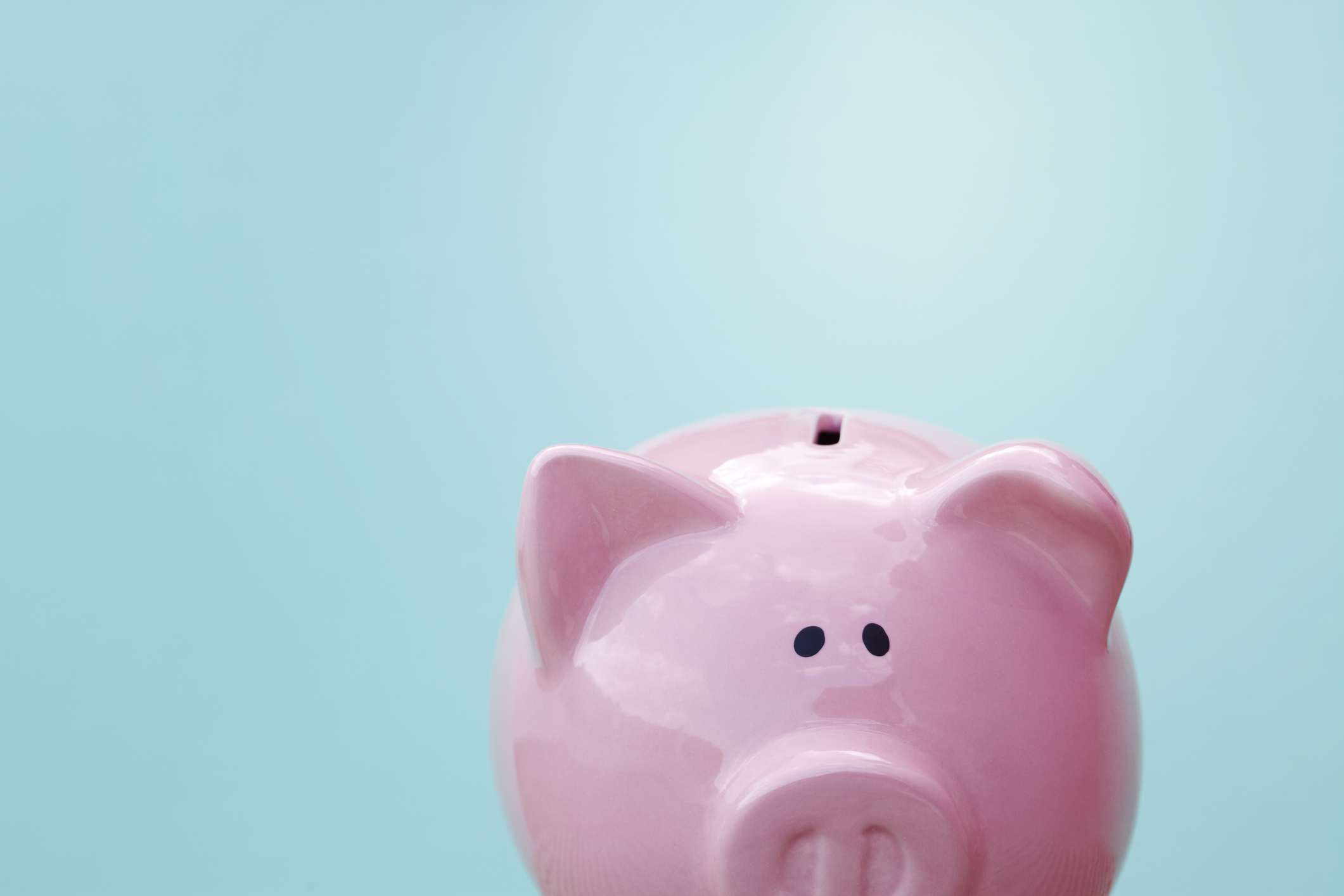 Close up of piggy bank on blue background