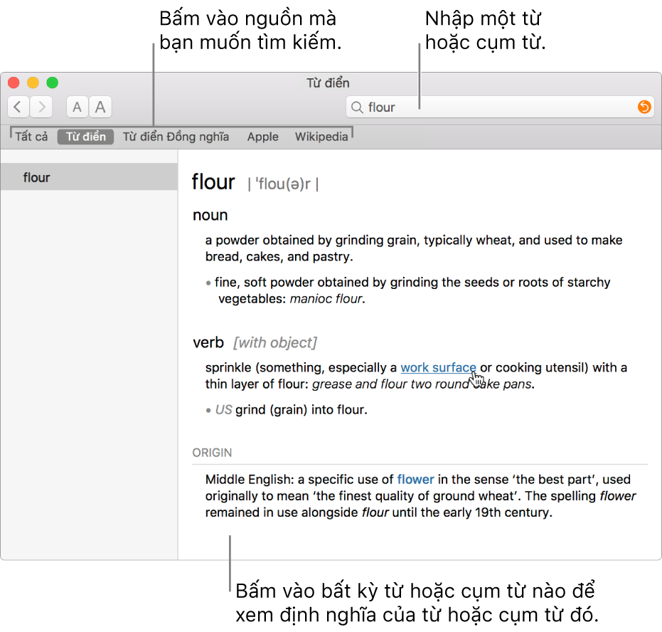 Toàn bộ cửa sổ Từ điển hiển thị một định nghĩa. Bấm vào bất kỳ từ hoặc cụm từ nào trong định nghĩa để xem định nghĩa của từ đó. Để chọn một nguồn để tìm kiếm, bấm vào tên của nguồn đó trong thanh nguồn ở dưới thanh công cụ. Nhập một từ hoặc cụm từ vào trường tìm kiếm.