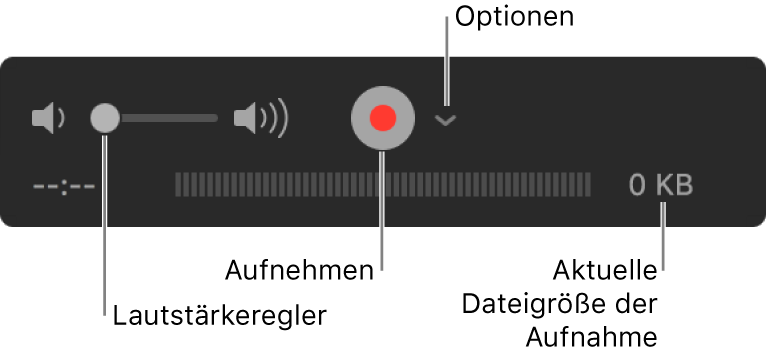 Aufnahmensteuerungen einschließlich Lautstärkeregler, Aufnahmetaste und Einblendmenü „Optionen“