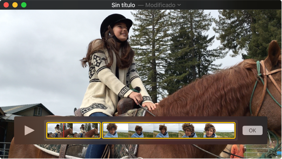 La ventana de QuickTime Player mostrando el editor de clips.