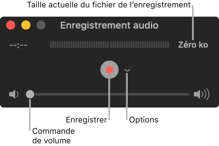 La fenêtre d’enregistrement audio avec le bouton Enregistrer et le menu local Options au centre de la fenêtre, et le contrôle du volume en bas.