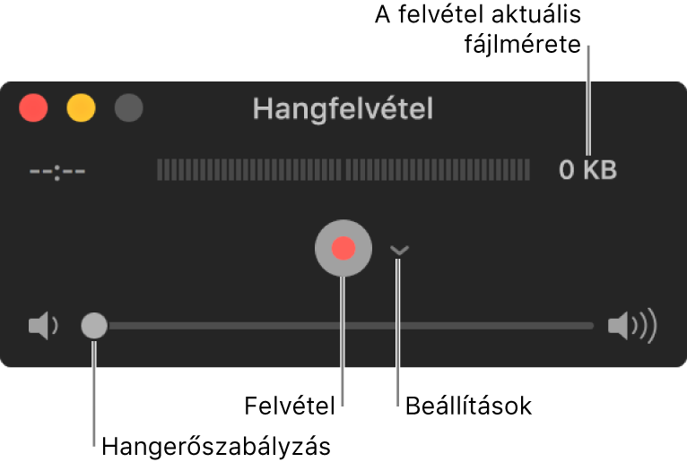 A Hangfelvétel ablak; középen a Felvétel gomb és a Beállítások felugró menü, alul pedig a hangerőszabályzó.