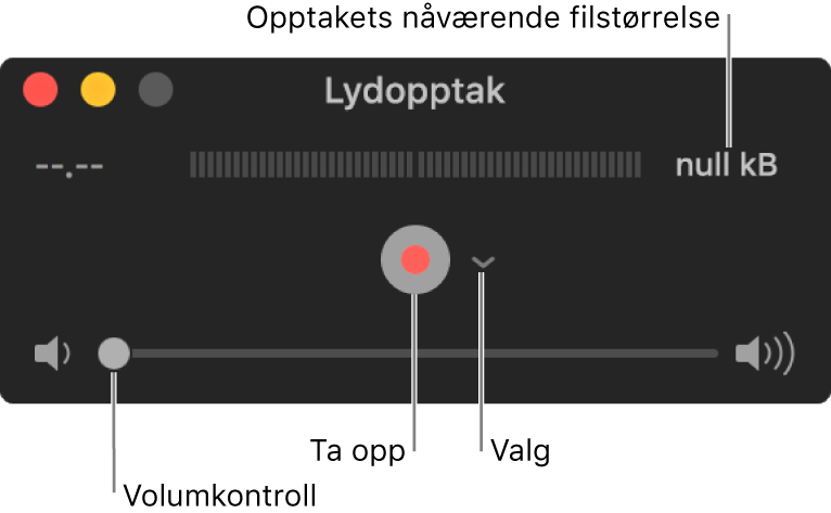 Lydopptak-vinduet med Ta opp-knappen og Valg-lokalmenyen i midten av vinduet, og volumkontrollen nederst.