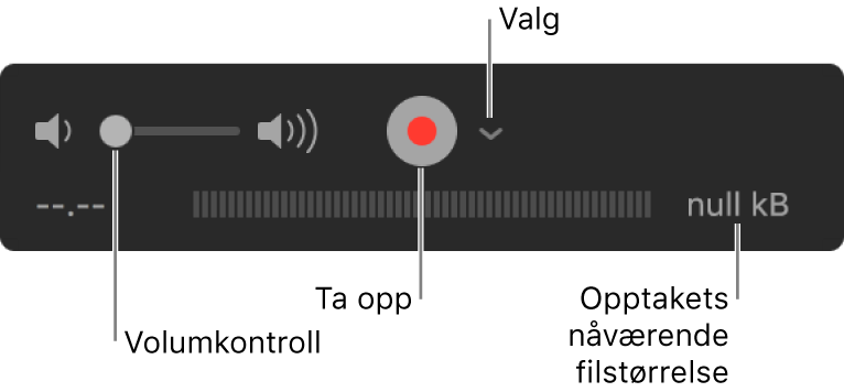 Opptakskontrollene, inkludert volumkontrollen, Ta opp-knappen og Valg-lokalmenyen.