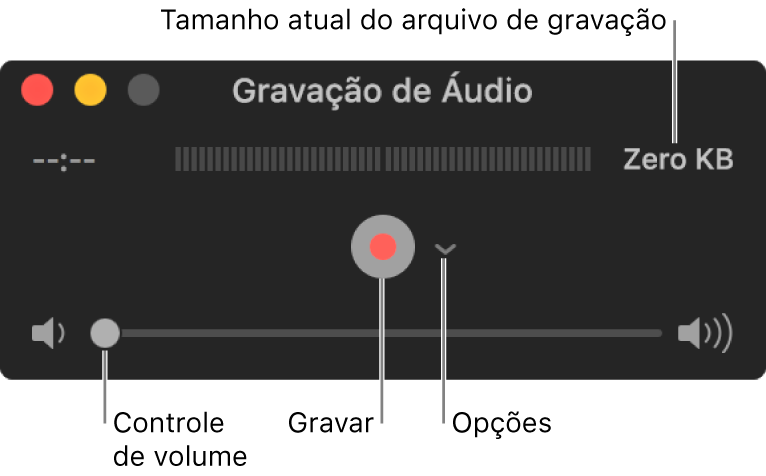 A janela da Gravação de Áudio com o botão Gravar, o menu local Opções no centro da janela e controle de volume na parte inferior.