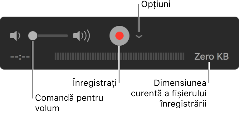 Comenzile de înregistrare, inclusiv comanda pentru volum, butonul Înregistrează și meniul pop-up Opțiuni.