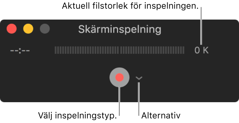 Skärminspelningsfönster med inspelningsknappen längst ned och alternativpopupmenyn bredvid.