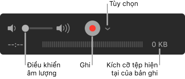 Các điều khiển ghi, bao gồm điều khiển âm lượng, nút Ghi và menu bật lên Tùy chọn.