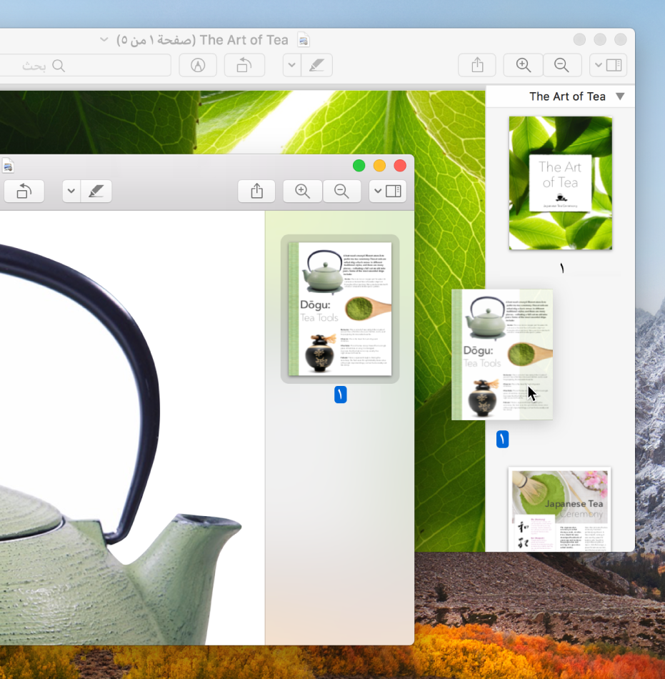 صورة مصغرة لصفحة من مستند PDF إلى الشريط الجانبي لمستند آخر.