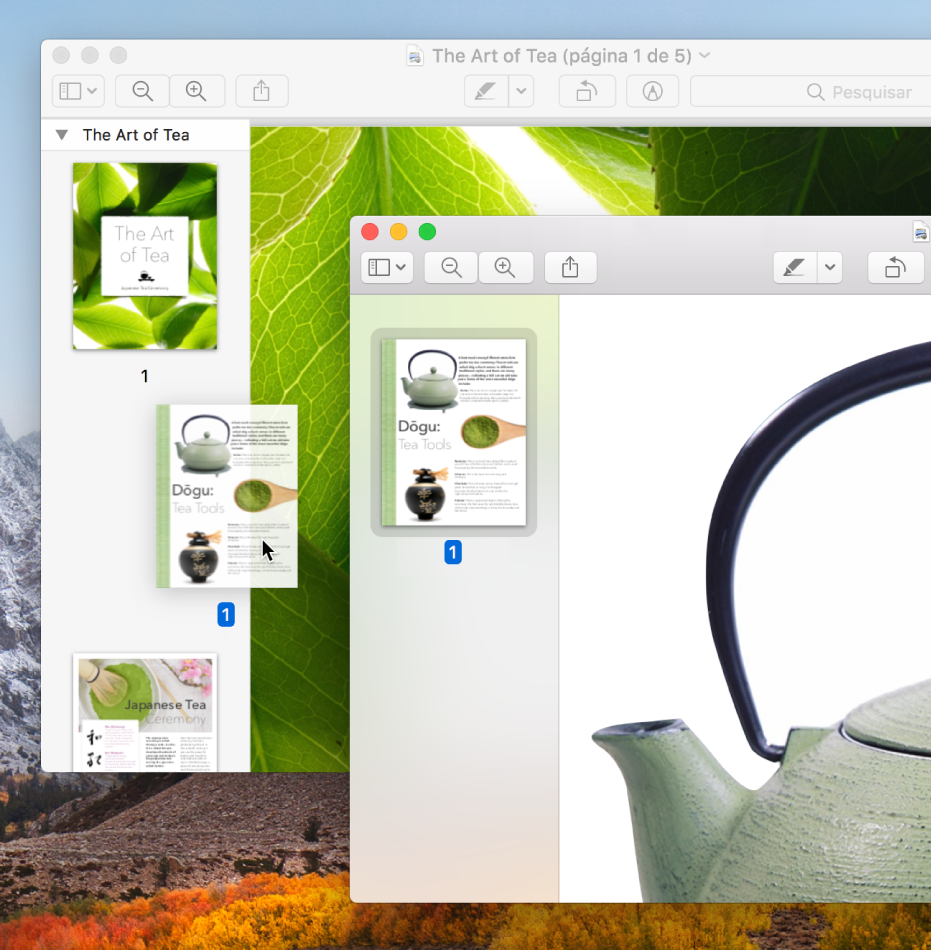 Uma miniatura de página de um PDF movida para a barra lateral de outro.