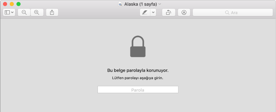 Parola korumalı bir PDF.