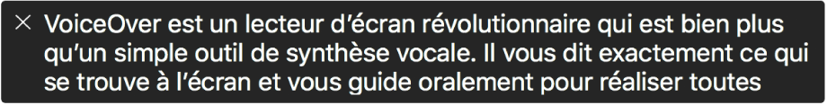 Le panneau Légende affiche l’élément que VoiceOver lit actuellement.