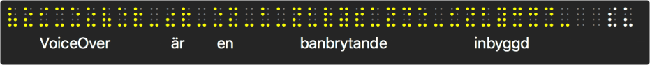 Punktskriftspanelen visar simulerade gula punktskriftspunkter; text nedanför punkterna visar vad VoiceOver läser upp.