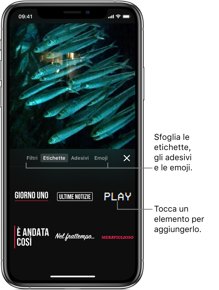 L’immagine di un video nel visualizzatore, con Etichette selezionato e le opzioni per le etichette sotto.