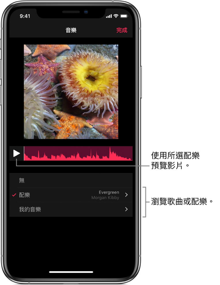 檢視器中影像下方顯示播放按鈕和音訊波形，帶有瀏覽配樂或音樂資料庫的選項。