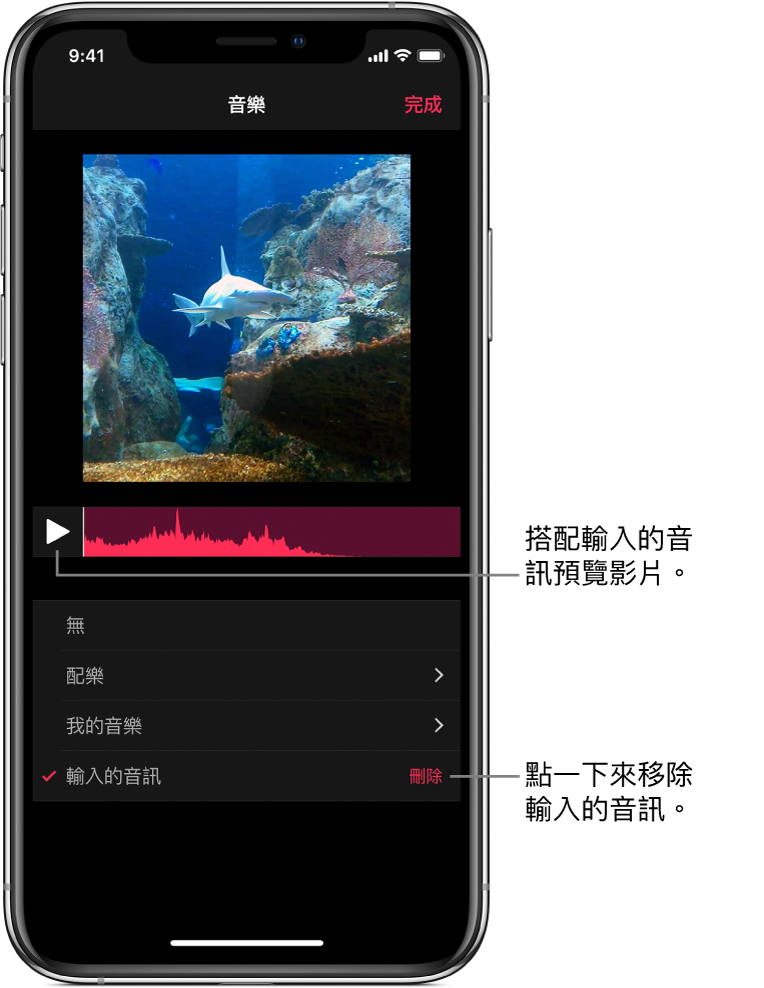 檢視器中影像下方顯示「播放」按鈕和音訊波形，底下有「刪除」按鈕，用於移除輸入的音訊。