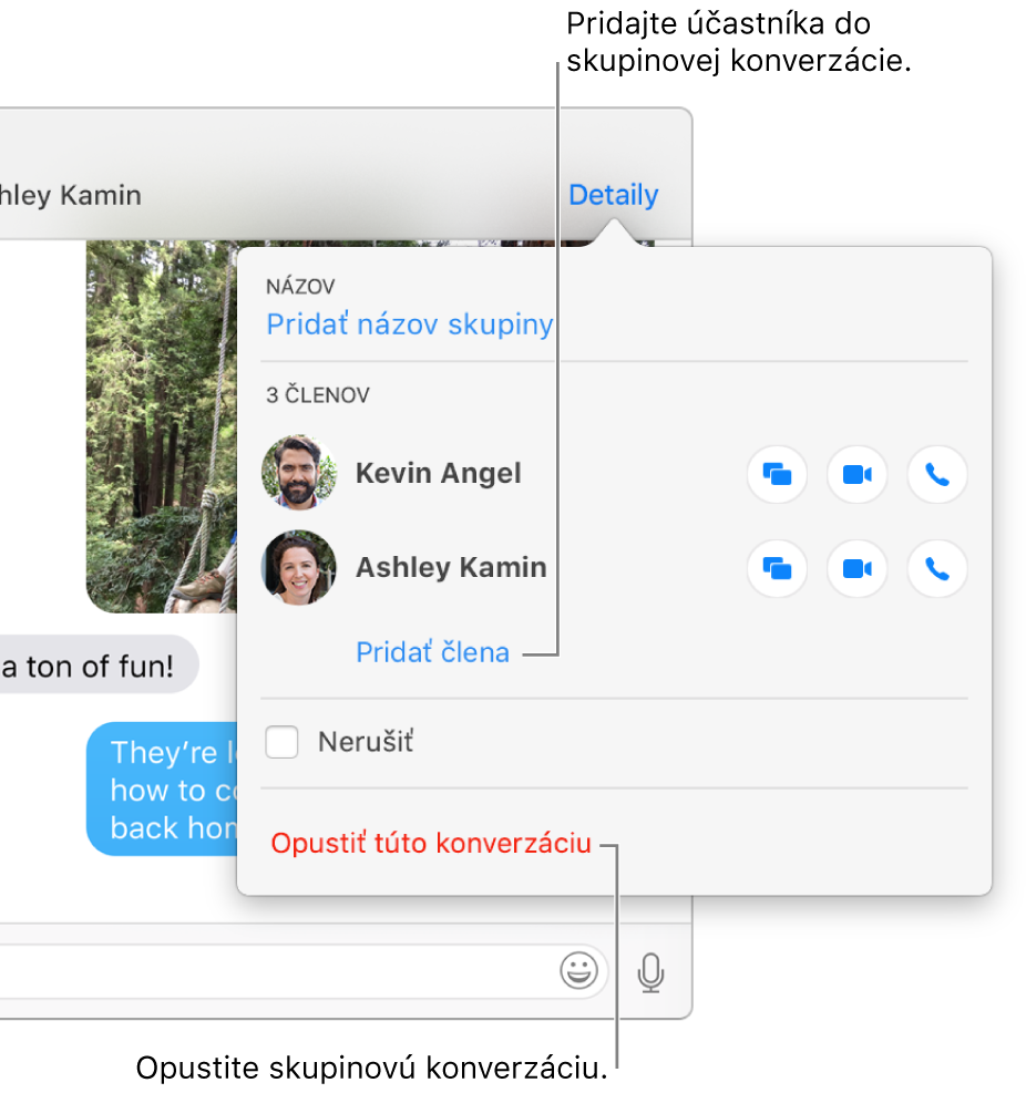 Zobrazenie Detaily, ktoré sa zobrazí po kliknutí na položku Detaily v skupinovej konverzácii. Pod menom posledného účastníka v zozname sa zobrazí možnosť Pridať člena a naspodku dialógového okna sa zobrazí možnosť Opustiť túto konverzáciu.