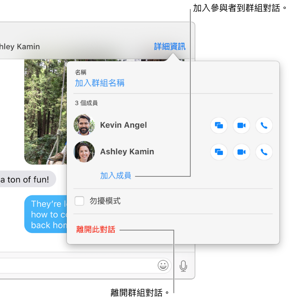 「詳細資訊」顯示方式，在您按一下群組對話中的「詳細資訊」後便會顯示。「加入成員」會顯示在列表中最後一位參與者的名稱下方，而「離開此對話」則位於對話框的底部。