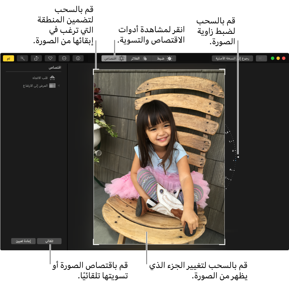 نافذة تعرض صورة مع خيارات الاقتصاص والتسوية.