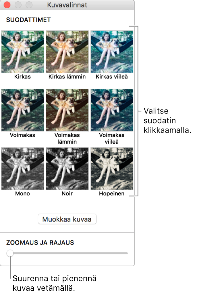 Kuvavalinnat-ikkuna, jonka alareunassa Zoomaus ja rajaus -liukusäädin ja yläreunassa tehostevalinnat.