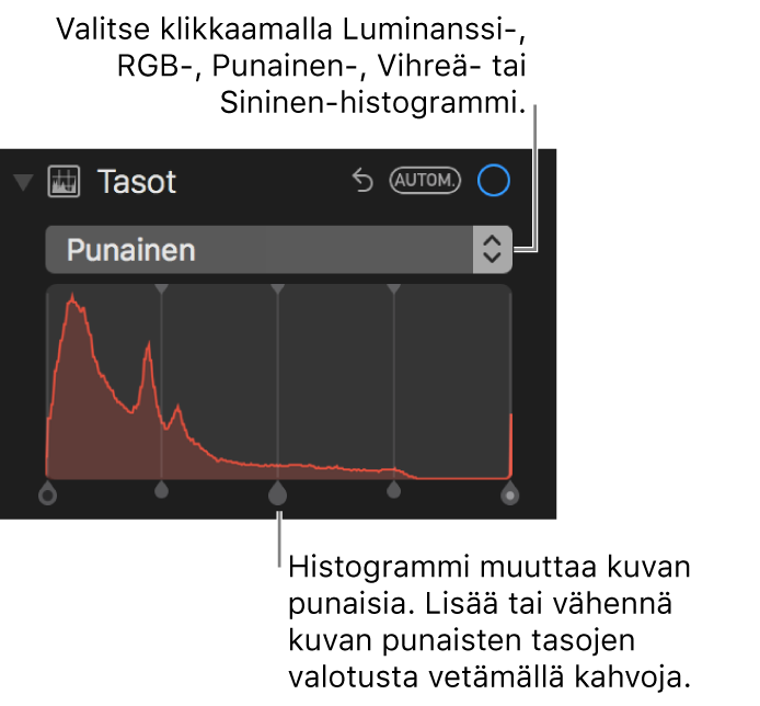 Tasosäätimet ja histogrammi kuvan punaisten alueiden muuttamista varten.