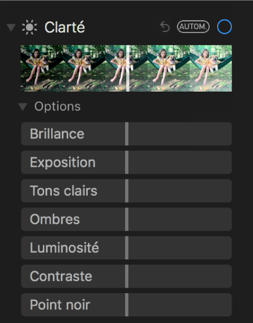 La zone Clarté de la sous-fenêtre Ajuster présentant les curseurs Brillance, Exposition, Tons clairs, Ombres, Luminosité, Contraste et Point noir.