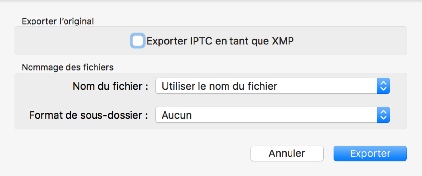 Zone de dialogue Exporter l’original présentant les options d’exportation.