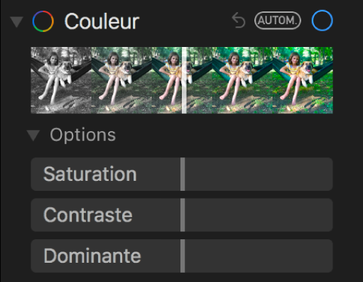 La zone Couleur de la sous-fenêtre Ajuster présentant les curseurs Saturation, Contraste et Dominante.