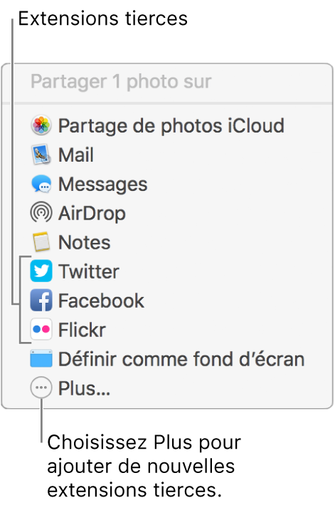 Menu Partager présentant des extensions tierces, telles que Flickr.