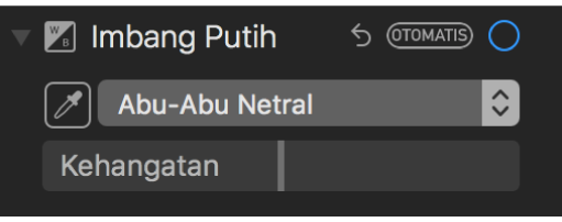 Kontrol Imbang Putih di panel Sesuaikan.