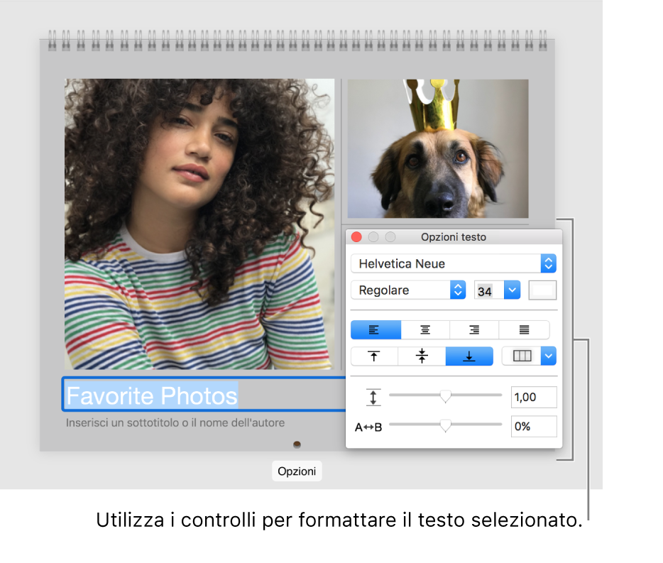 Una foto con testo selezionato al di sotto e la finestra “Opzioni testo” a destra.