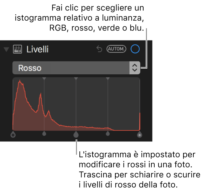 Controlli dei livelli e istogramma per modificare i rossi in una foto.