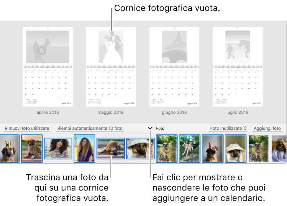 Finestra di Foto che mostra le pagine di un calendario con l'area Foto in basso.