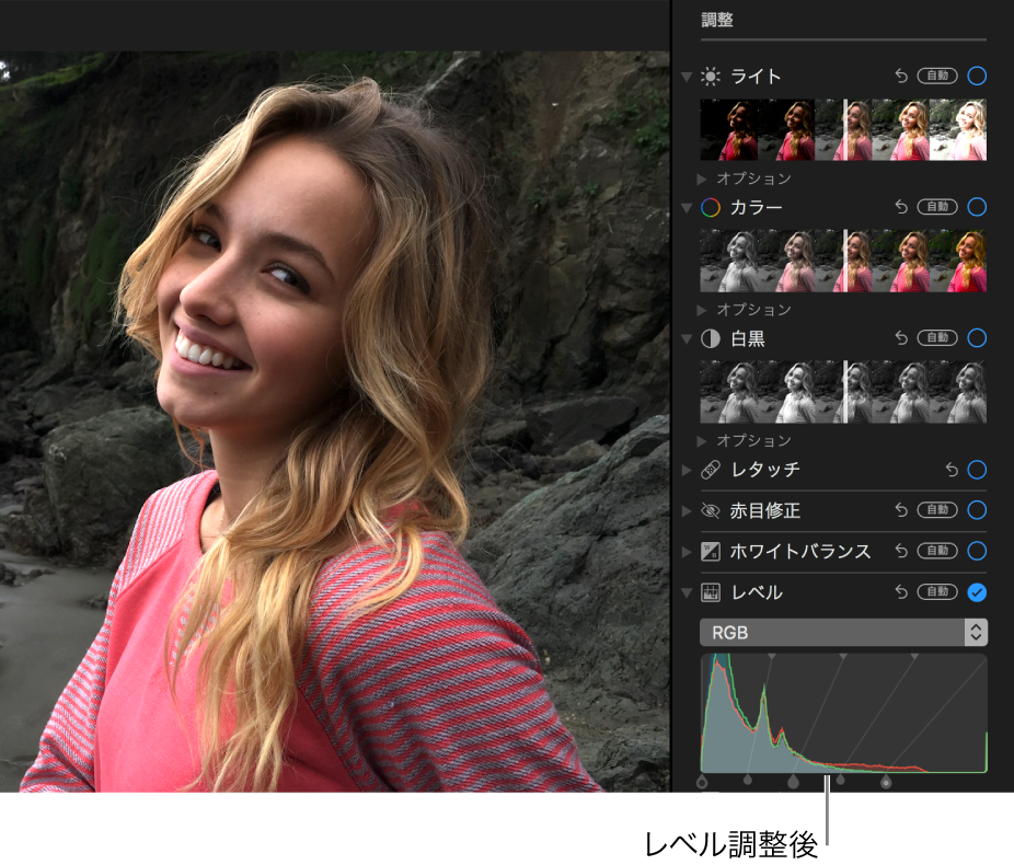 レベル調整後の写真。