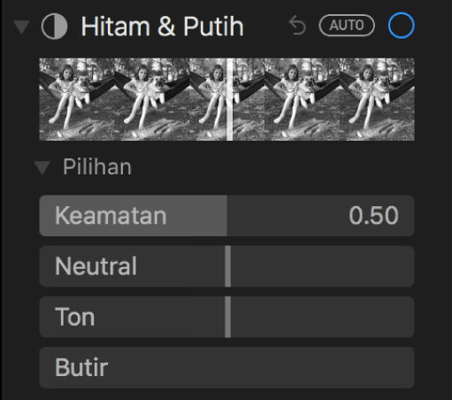 Kawasan Hitam & Putih pada anak tetingkap Laras menunjukkan gelangsar untuk Keamatan, Neutral, Ton dan Bintik.