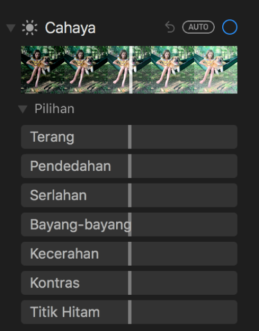 Kawasan Cahaya pada anak tetingkap Laras menunjukkan gelangsar untuk Kegemerlapan, Pendedahan, Serlahan, Bayang, Kecerahan, Kontras dan Titik Hitam.